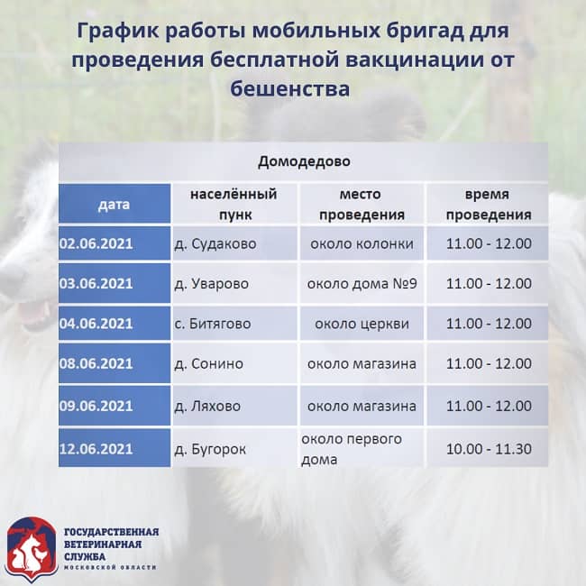 График вакцинации г.о. Домодедово на июнь 2021 года 